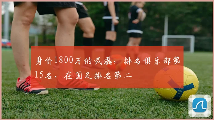 身价1800万的武磊，排名俱乐部第15名，在国足排名第二