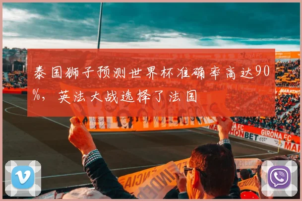 泰国狮子预测世界杯准确率高达90%，英法大战选择了法国