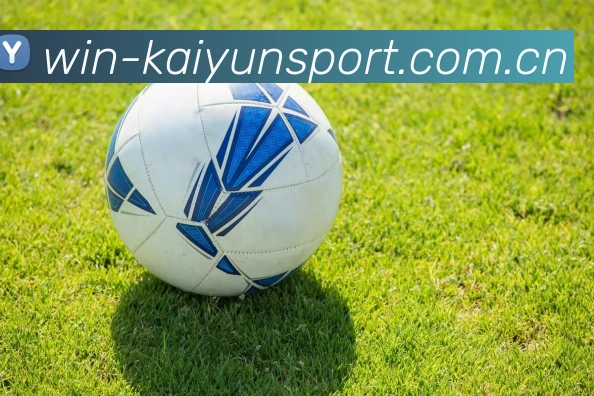 开云体育服务体系